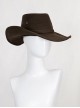 TV Drama Fallout Halloween Cosplay The Ghoul Cooper Howard Accessories Brown Hat