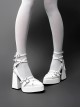 Gunsmoke Rose Series Cool Metallic Feel Punk Gothic Lolita Straps Pointed Toe Waterproof Platform Chunky High Heel