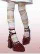 Gunsmoke Rose Series Cool Metallic Feel Punk Gothic Lolita Straps Pointed Toe Waterproof Platform Chunky High Heel