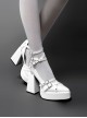 Gunsmoke Rose Series Cool Metallic Feel Punk Gothic Lolita Straps Pointed Toe Waterproof Platform Chunky High Heel