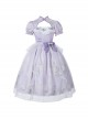 Sunny Window Series Chinese Style Cheongsam Collar Hollow Elegant Lilac Flower Embroidery Laght Purple Classic Lolita Dress