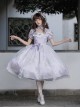 Sunny Window Series Chinese Style Cheongsam Collar Hollow Elegant Lilac Flower Embroidery Laght Purple Classic Lolita Dress