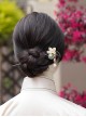 Elegant Chinoiserie Green Chalcedony Jewelry Shell Glass Hanfu Pearl Lotus Flower Classic Lolita Ebony Hairpin