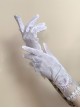 Twilight Light Series Elegant Hong Kong Style Retro Classic Lolita Beautiful White Lace Gloves