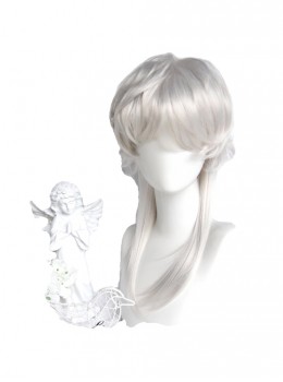 Silver Age Series Stylish Elegant Wolf Tail Long Hair Ouji Fashion Prince Style Lolita Handsome Silver Wig