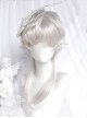 Silver Age Series Stylish Elegant Wolf Tail Long Hair Ouji Fashion Prince Style Lolita Handsome Silver Wig