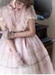 Spring Sakura Series Elegant Sweet Embroidery Ruffles Classic Lolita Light Pink Dress