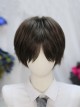 Warm Tea Series Prince Style Brown Short Hair Ouji Fashion Japanese Style Daily Fluffy Wig